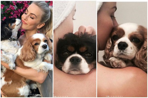 Julianne-Hough-dogs-death_-Julianne-Hough-dogs-cause-deaddeath