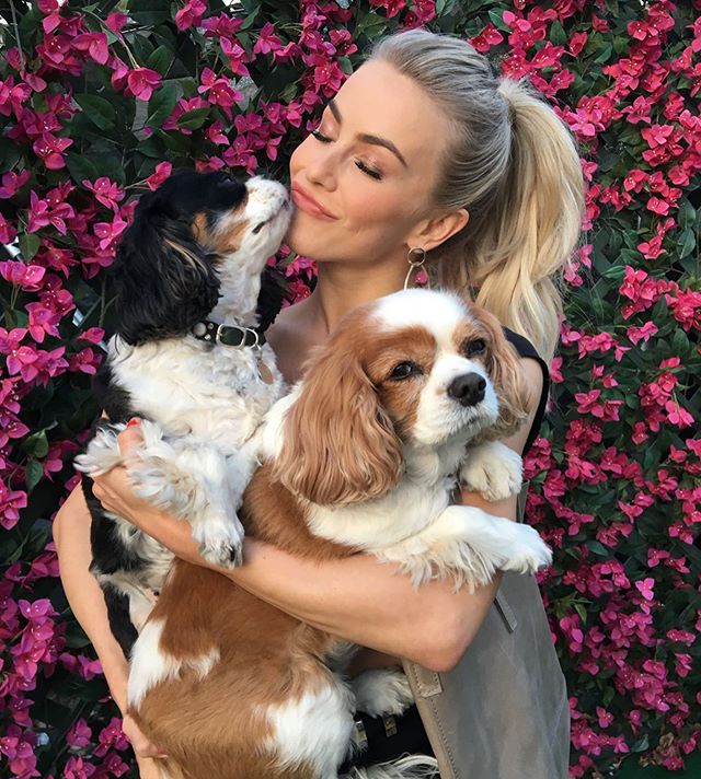 Julianne hough and dogs