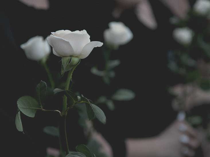 Bette (Lewis) Tokar Death