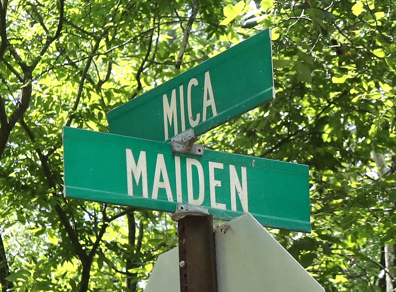 Man found shot to death