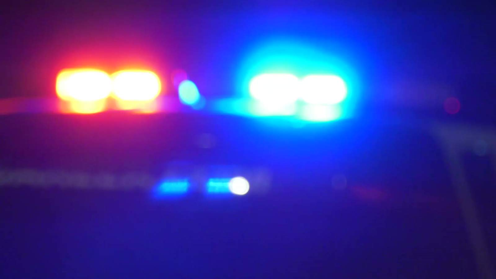 5 Died, in Texas vehicle Crash Including 3 Children