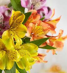 Debra Kilian Death