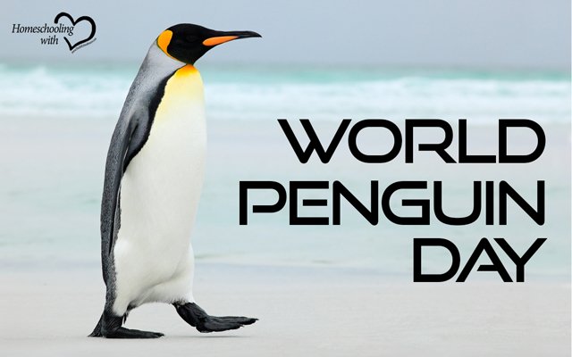 world penguins day