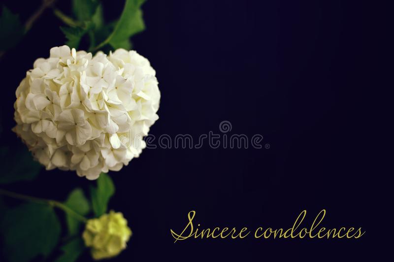 Lasean Bolden, Jr. Death